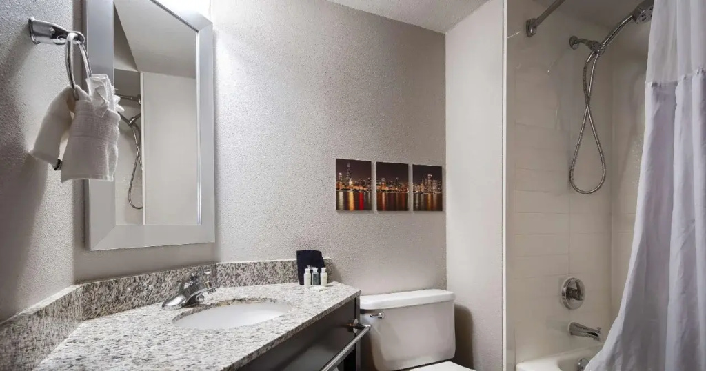 Best Western O'Hare/Elk Grove Hotel - Général
