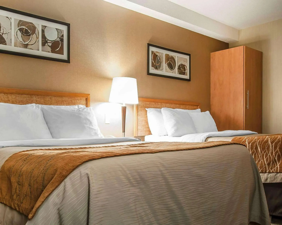 Comfort Inn - фото 6