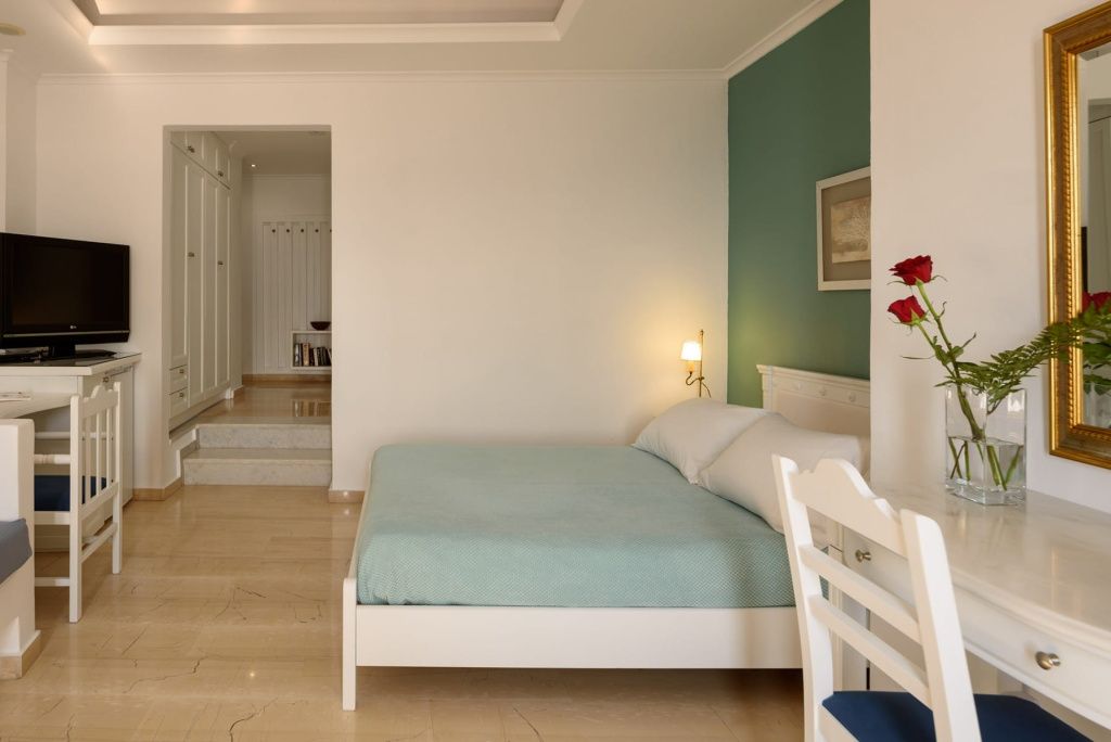 Standard Double room with mountain view (full double bed)