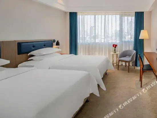 Superior Double room with city view (twin beds)