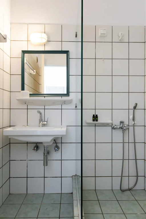 Standard Double room with mountain view (full double bed)