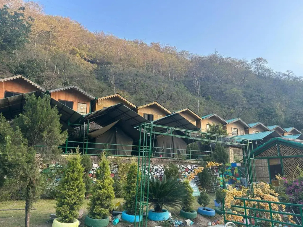 Cradle Of Life Camp