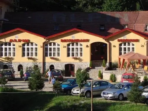 Pensiunea Alpin