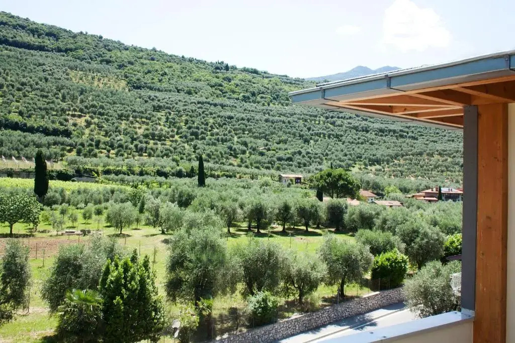 Ecohotel Primavera - Chambres