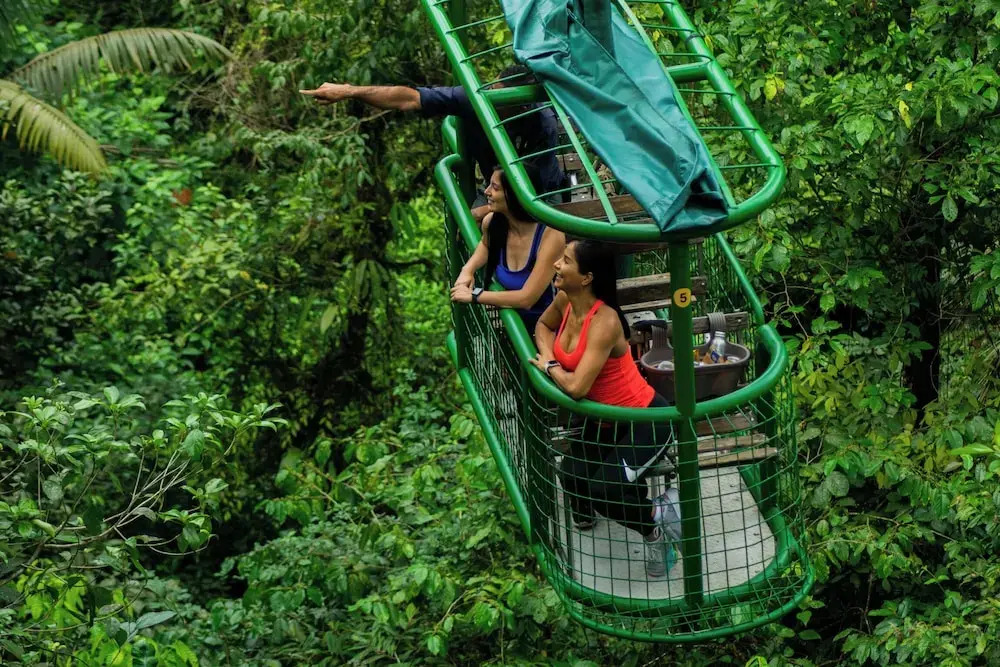 Tapirus Lodge - фото 10