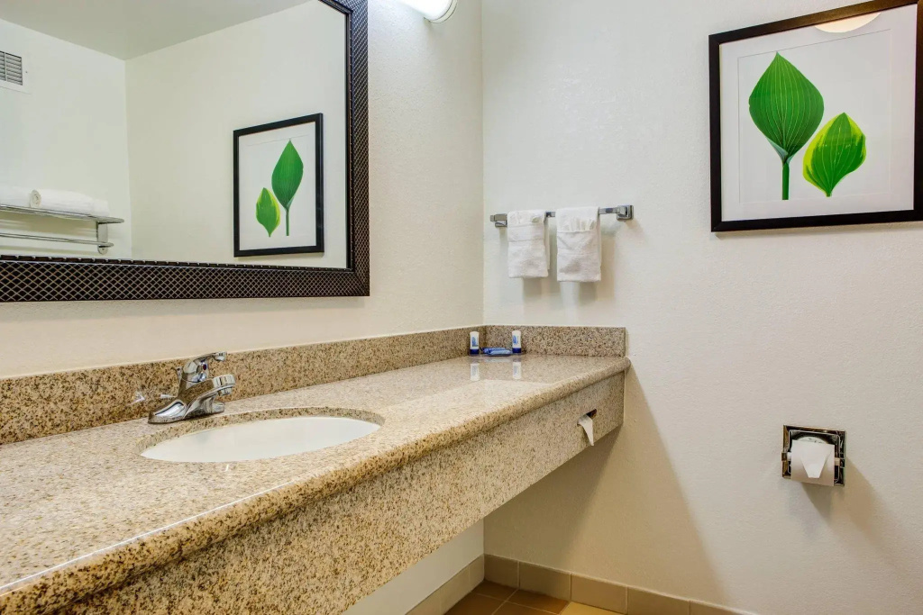 Fairfield Inn & Suites by Marriott Indianapolis Noblesville - Chambres