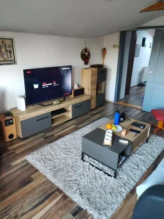 Apartment Viktor