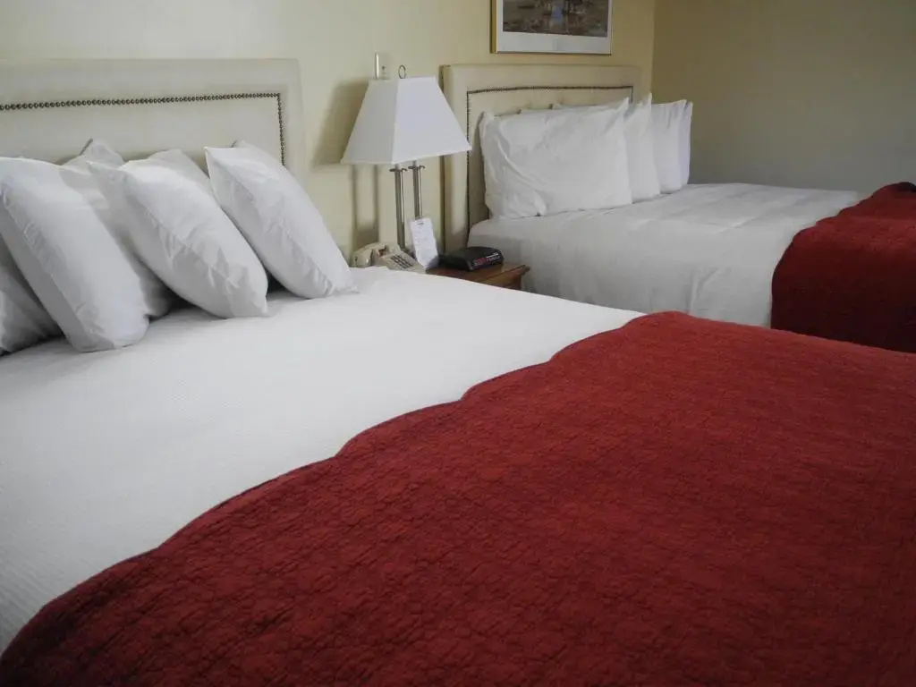 Wilson Lake Inn - Chambres