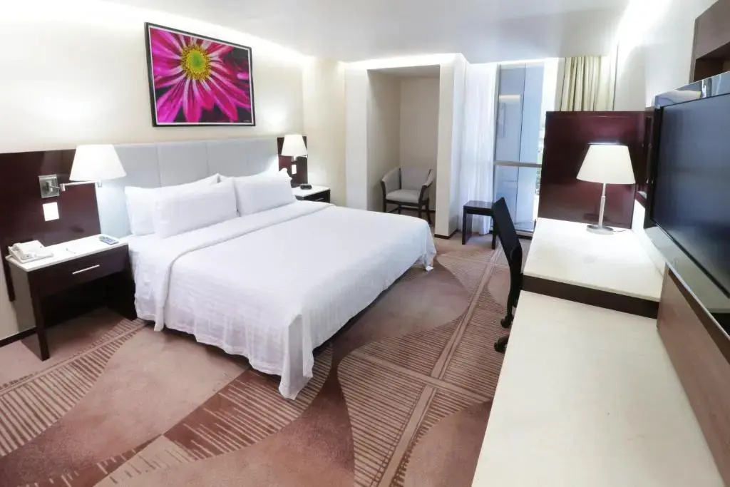 Holiday Inn Hotel & Suites Medica Sur by IHG - Chambres