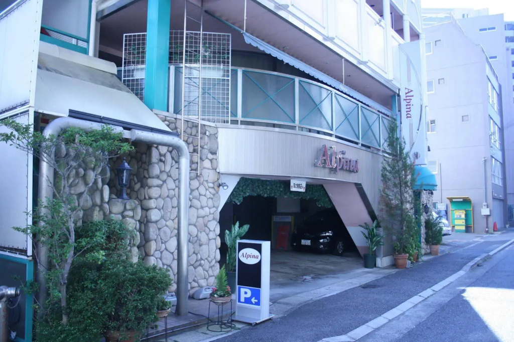 Hotel Alpina