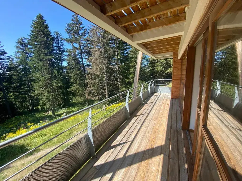 Balcony & Terrace