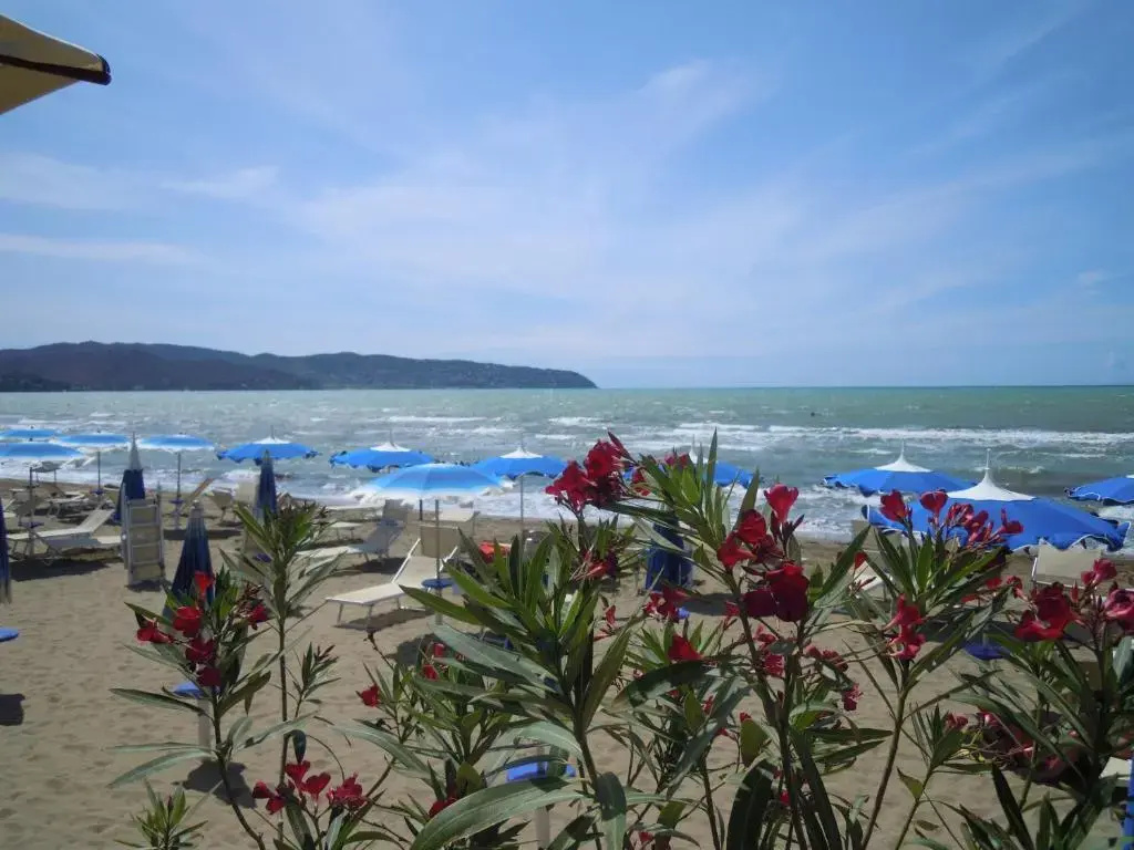 Beach & Waterfront