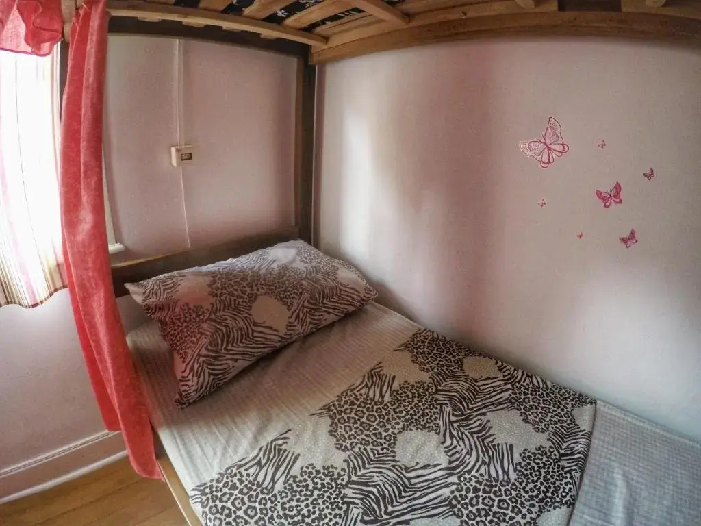 Кровать в общем номере (женский номер) в Red Monkey Hostel: Barra Funda