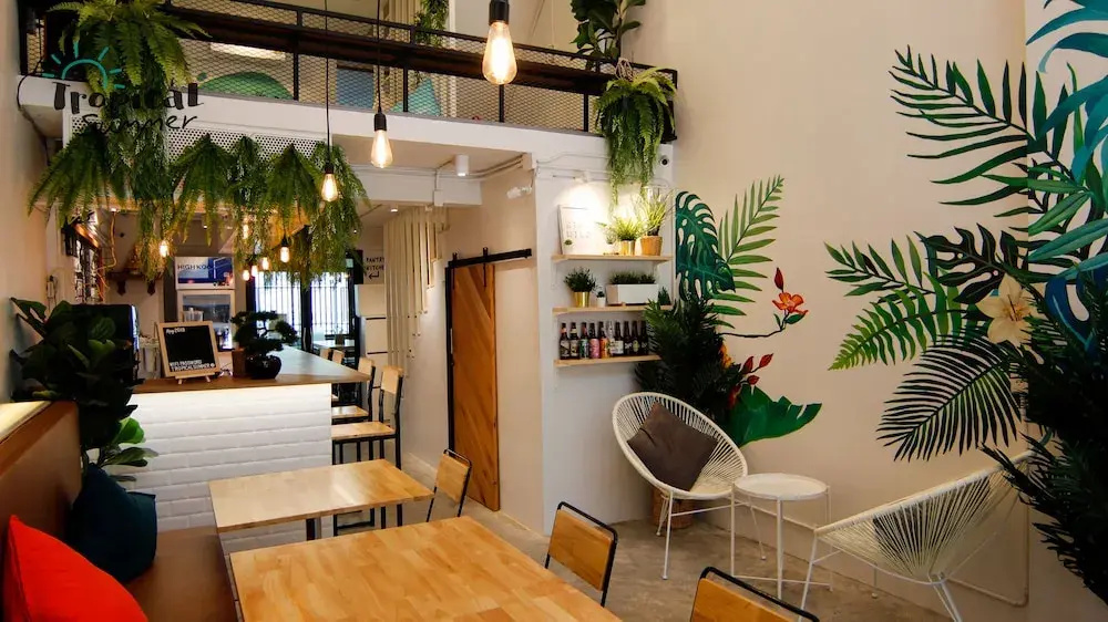 Tropical Summer Hostel — фото