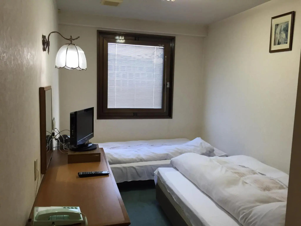Aoi Business Hotel - фото 3