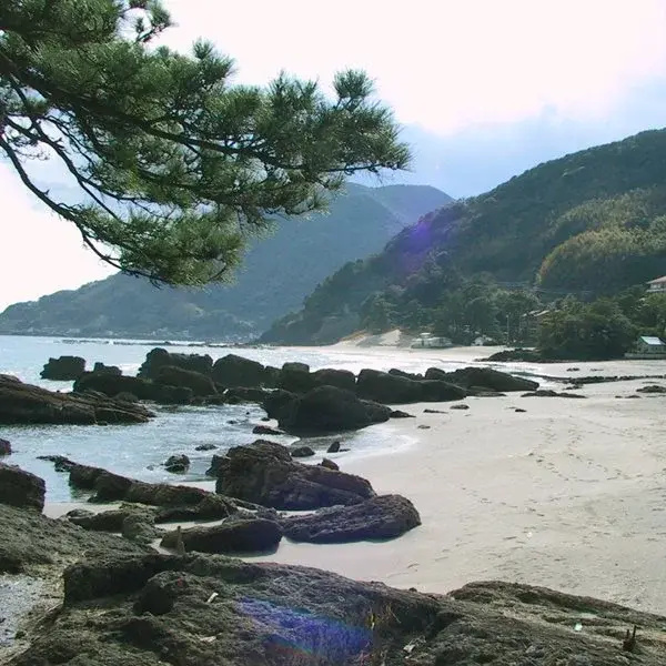 Beach & Waterfront