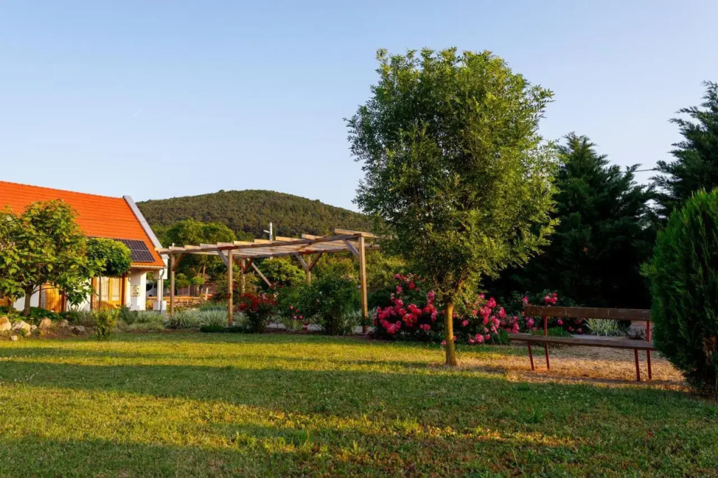 Rózsa-Domb Vendégház - фото 29