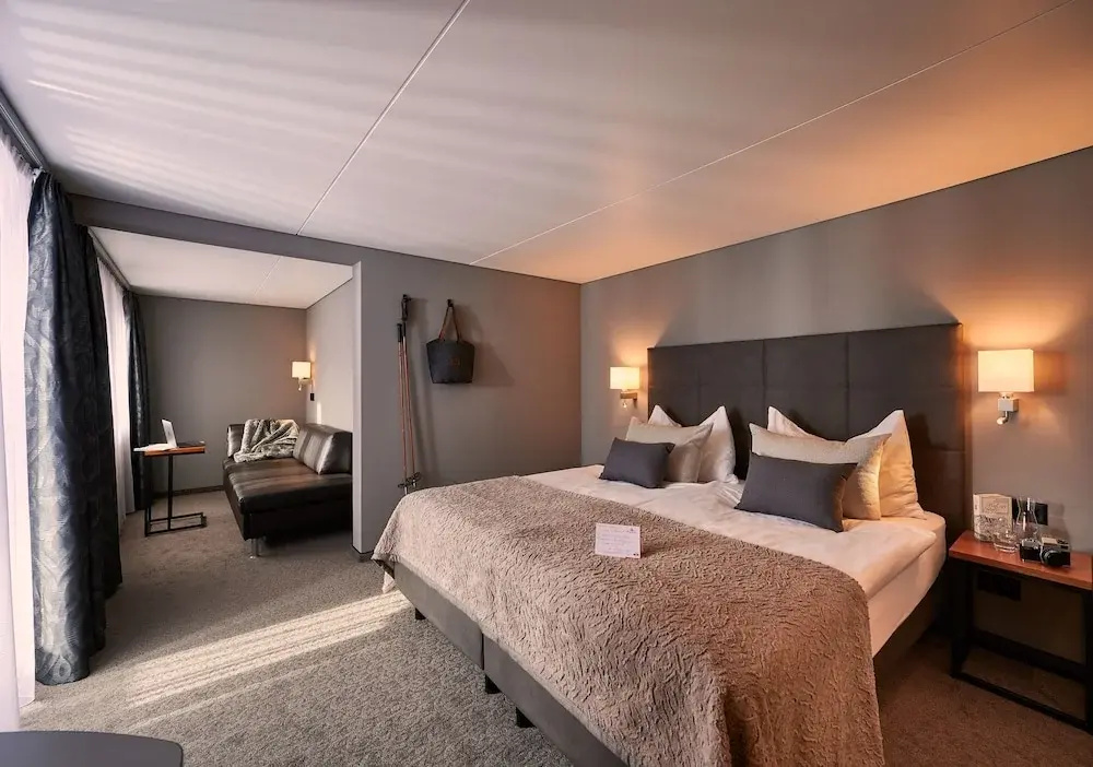 Standard Double room with mountain view (full double bed)