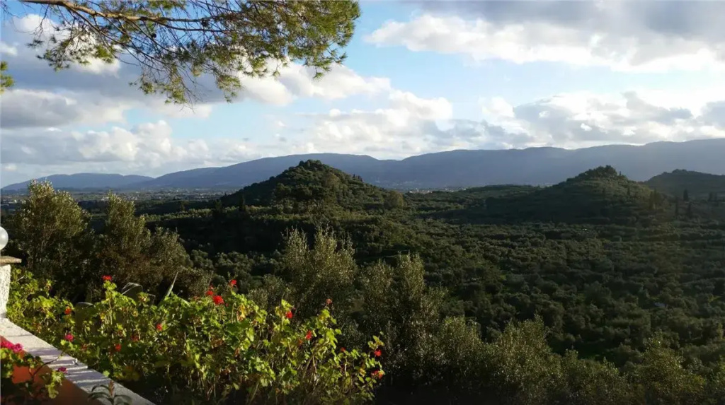 Zante View Studios 3 * Zante View Studios 3 *