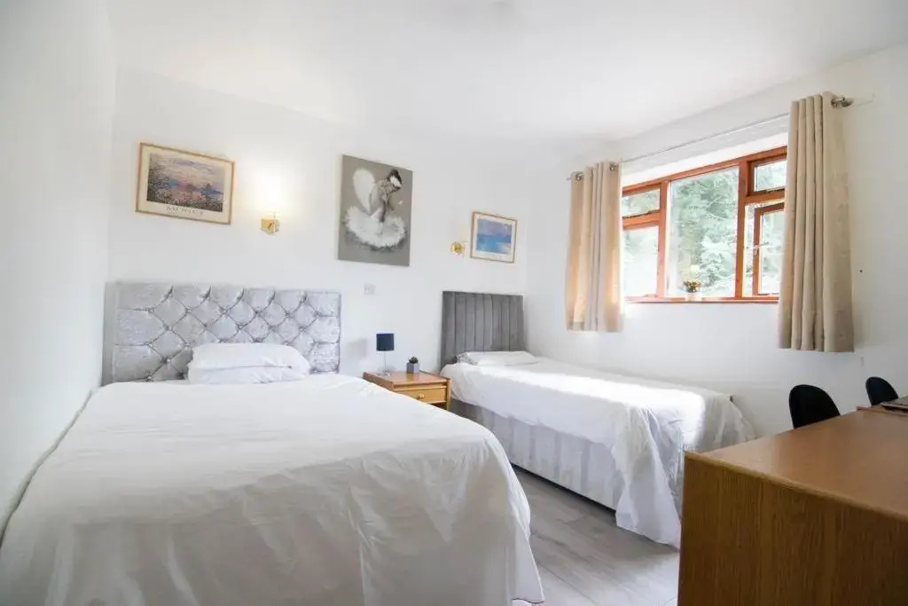 Deluxe Double room (full double bed)