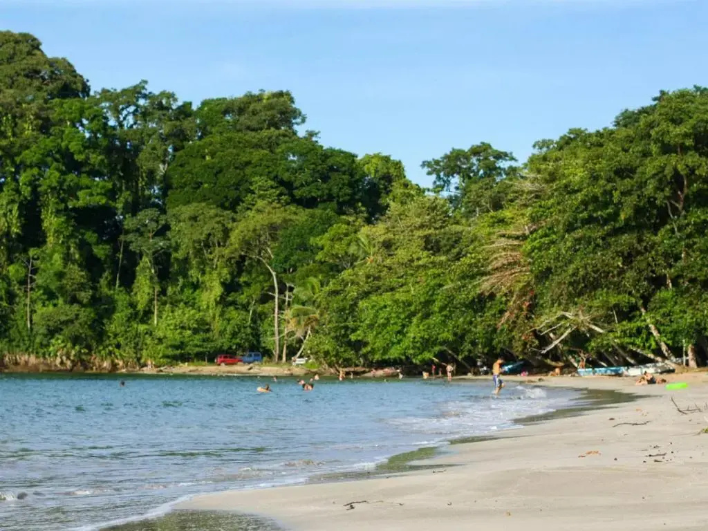 Beach & Waterfront