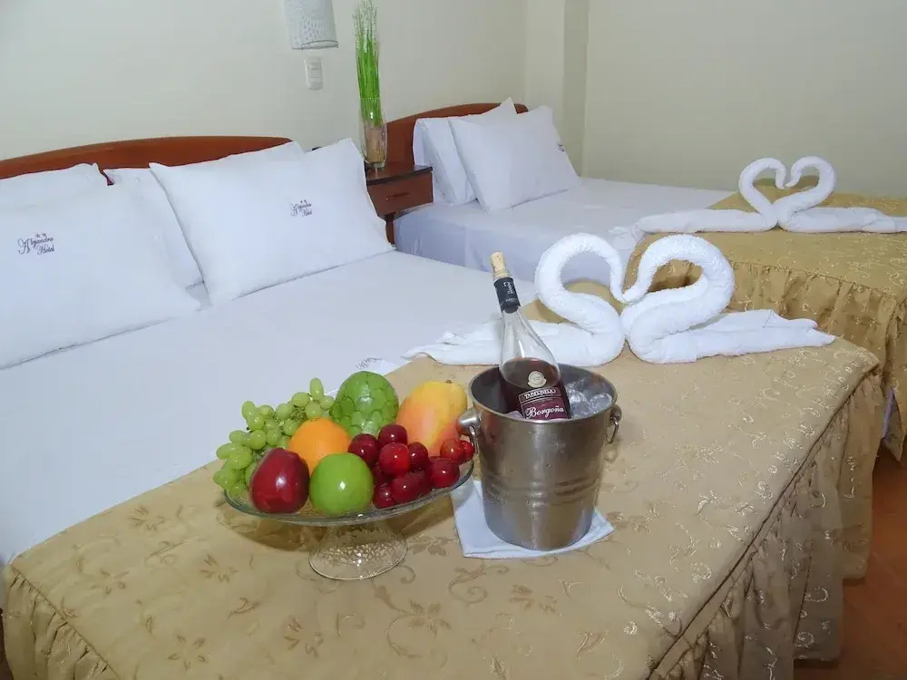 Standard Double room (twin beds)