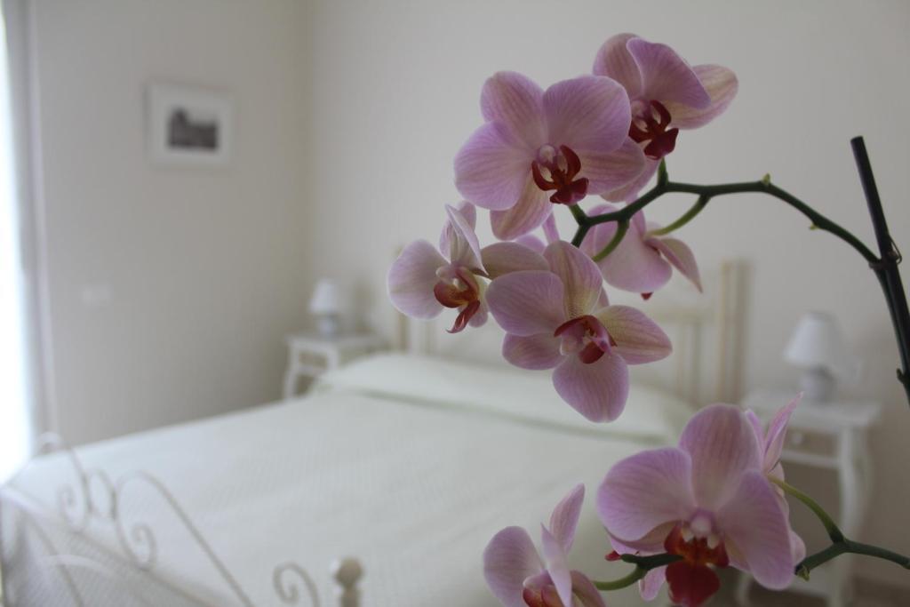 "Il Giglio Bianco" Sorrento B&B by null