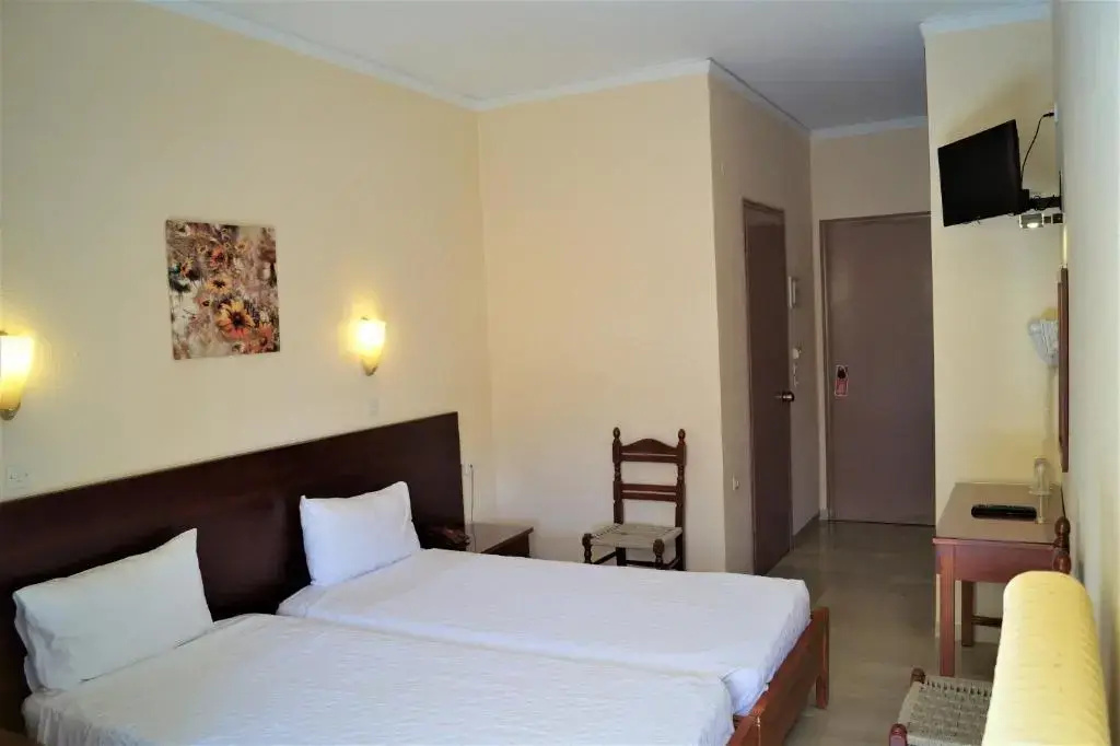 Standard Double room (twin beds)