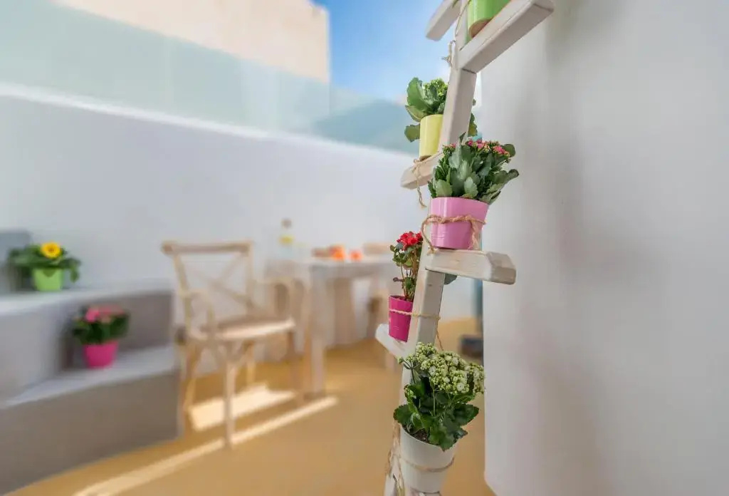 Calliope's House - Chambres