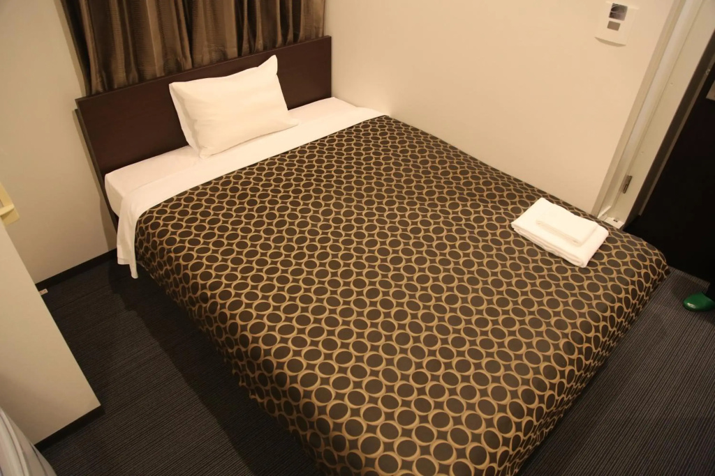 Hotel Excellence Kyoto Ekimae - Général