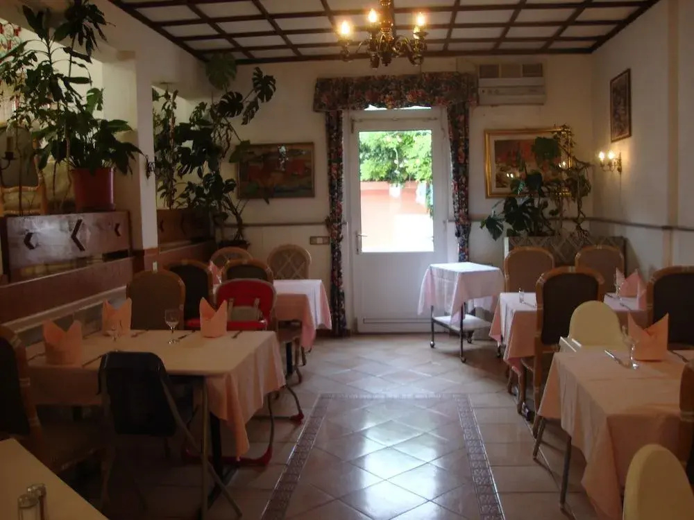 Park Hotel Rovio - Général