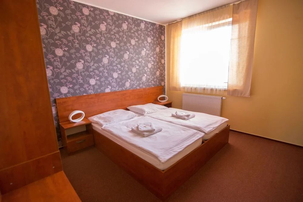 Classic Double room with park view (full double bed)