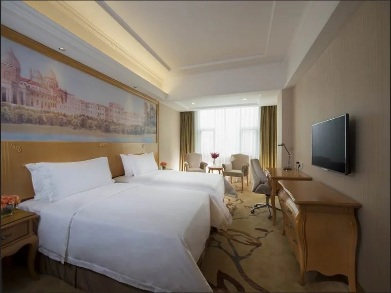 ViennaHotel Shenzhen Exibition Center - Général