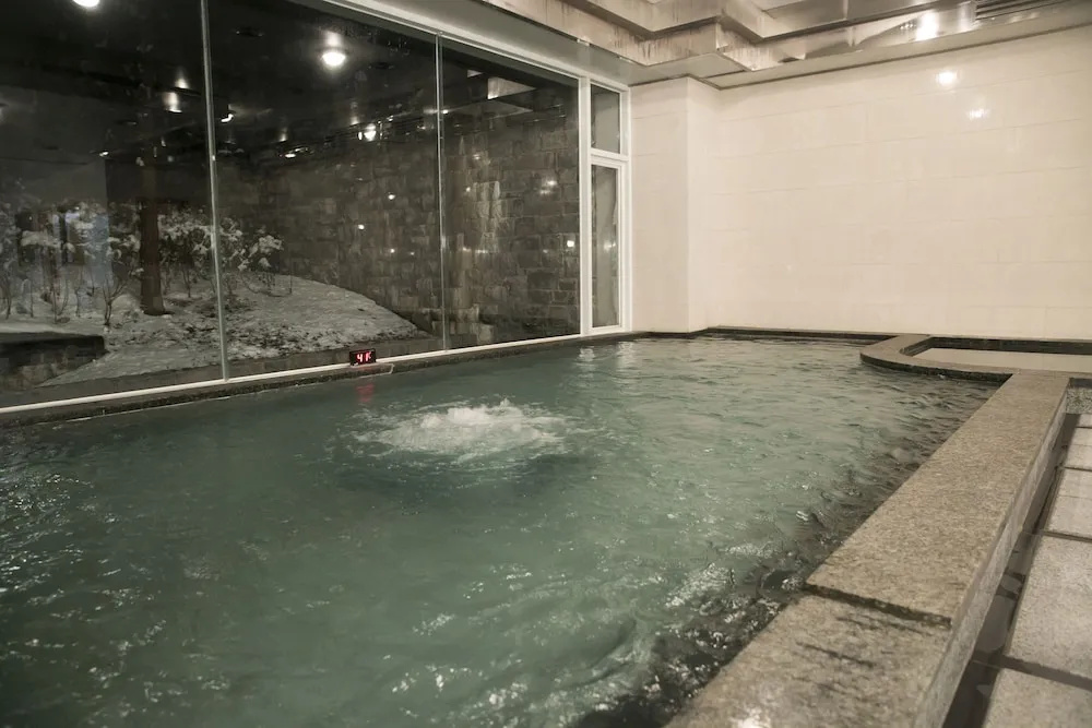 Elysian Gangchon Resort - Général