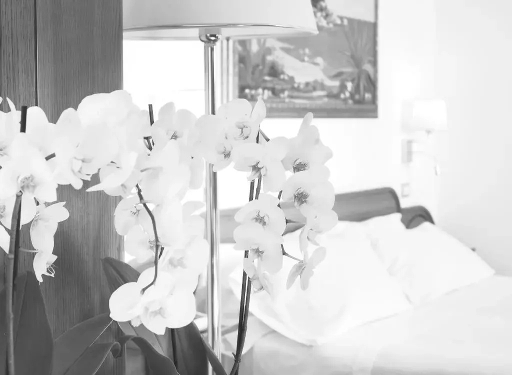 Hotel Villa Schuler - Chambres