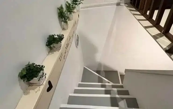 Balcony & Terrace