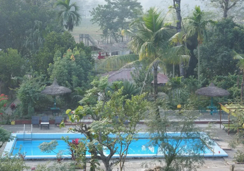 Baghmara Wildlife Resort - фото 12