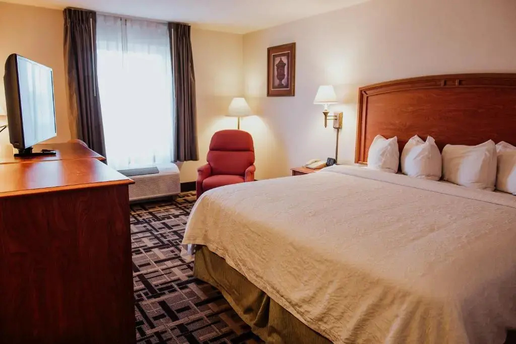 Hampton Inn by Hilton Torreon-Airport Galerias - Chambres