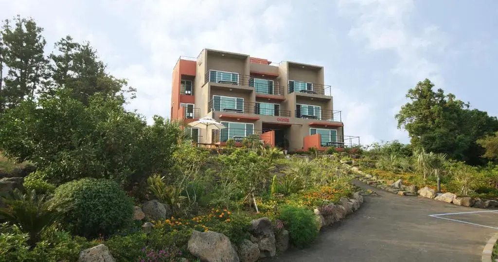 오아시스 펜션 by null