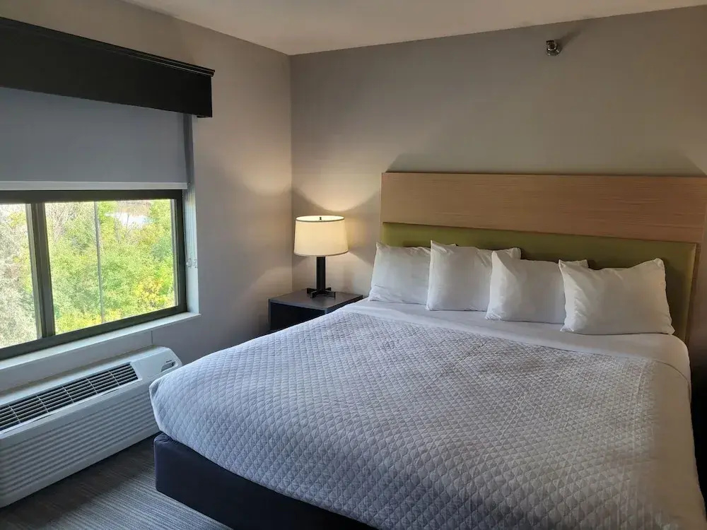 1 Bedroom Suite