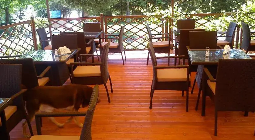 Hotel photo 11