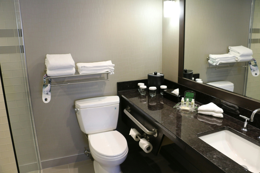 Holiday Inn Calgary-Airport by IHG - Général