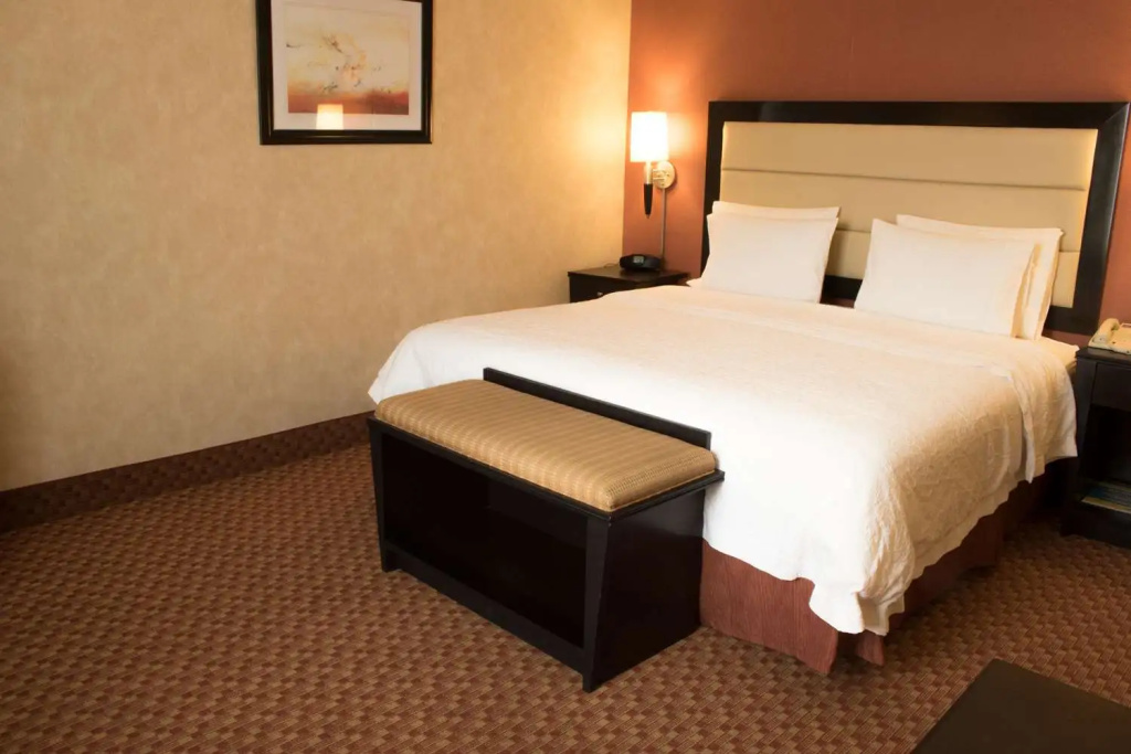 Hampton Inn by Hilton Ciudad Victoria - Chambres