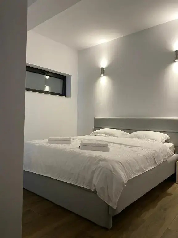 MODERN House