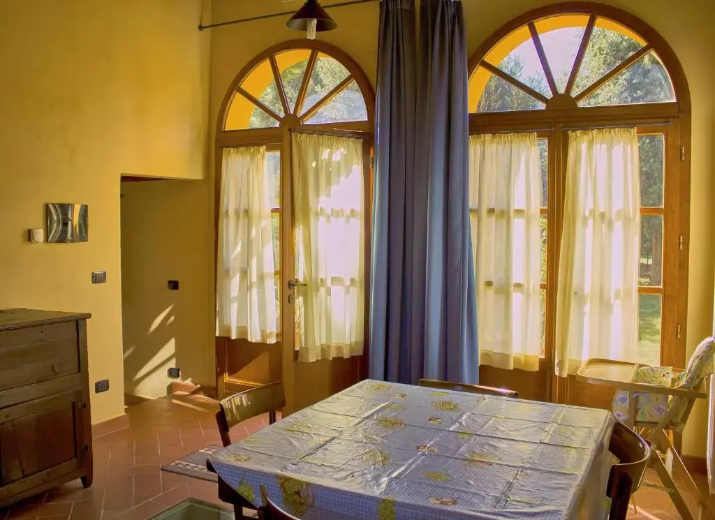 1 Bedroom Basement Apartment