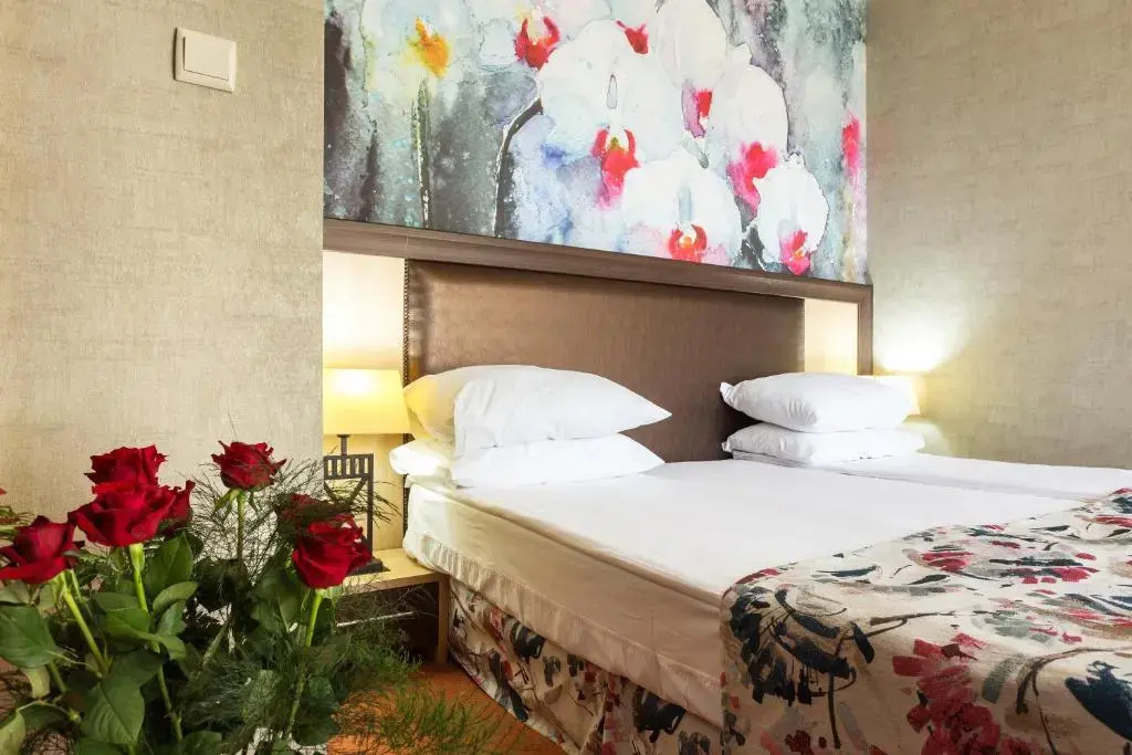 Balneo Complex & Spa Aquatonik - Chambres