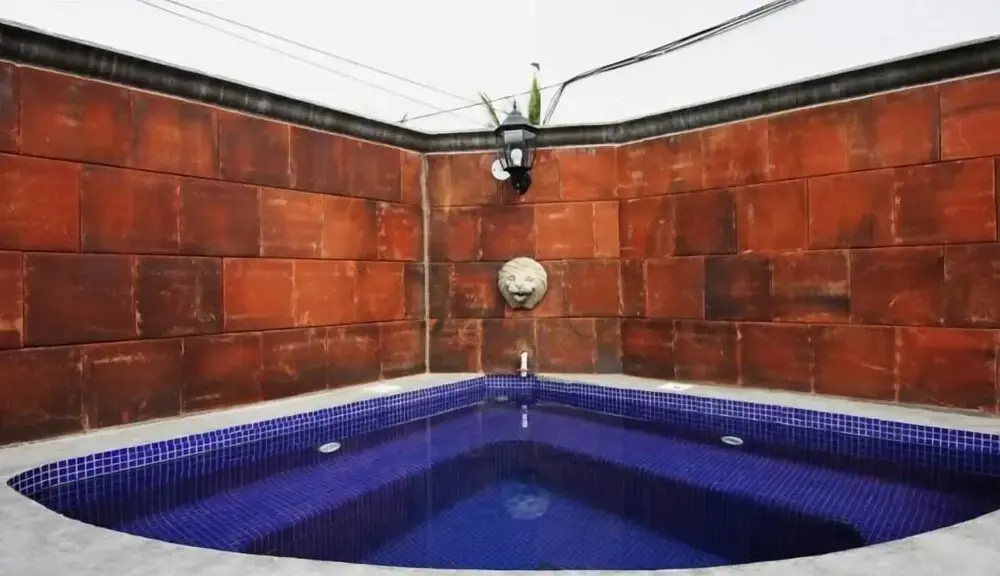 Hotel Casa Don Pedro - фото 8