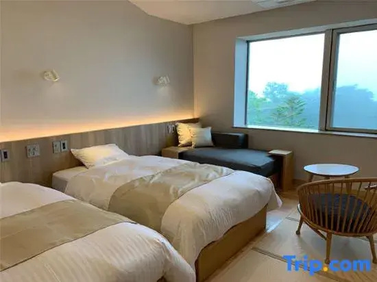 Standard Double room with mountain view (twin beds)