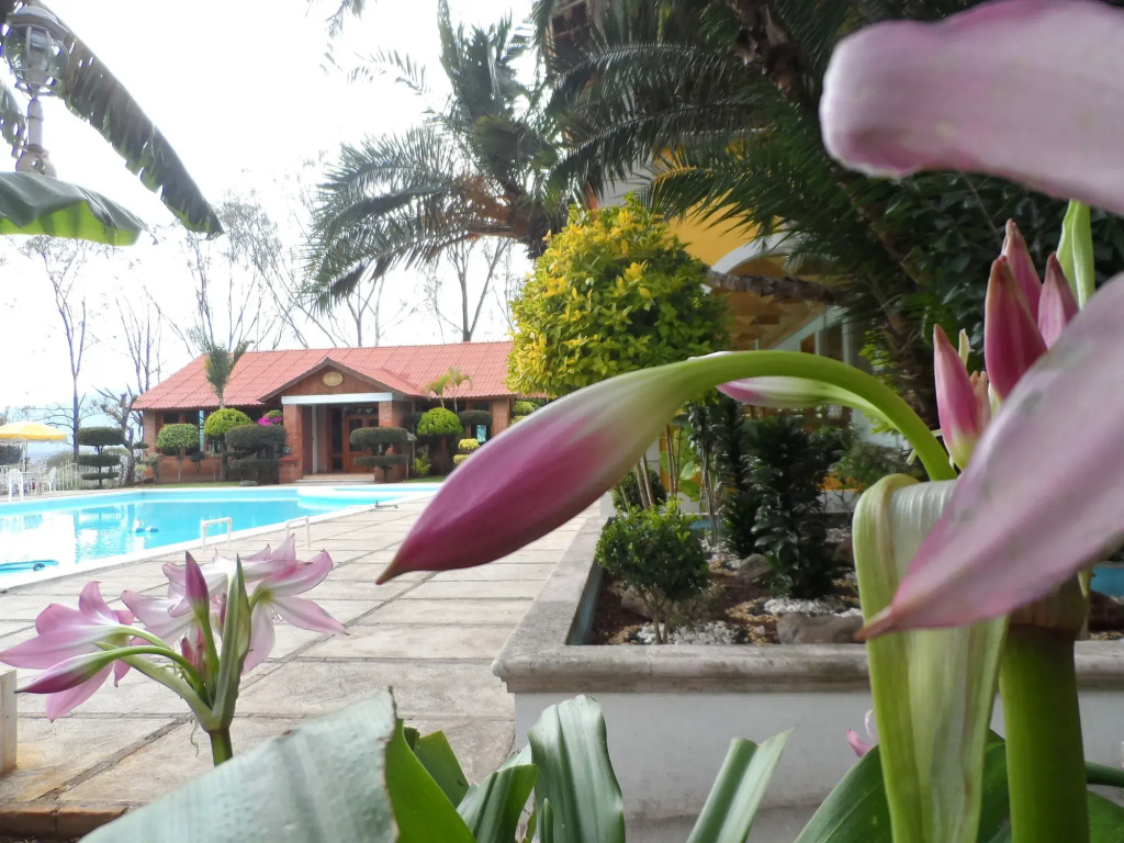Hotel Hacienda Montesinos - Général