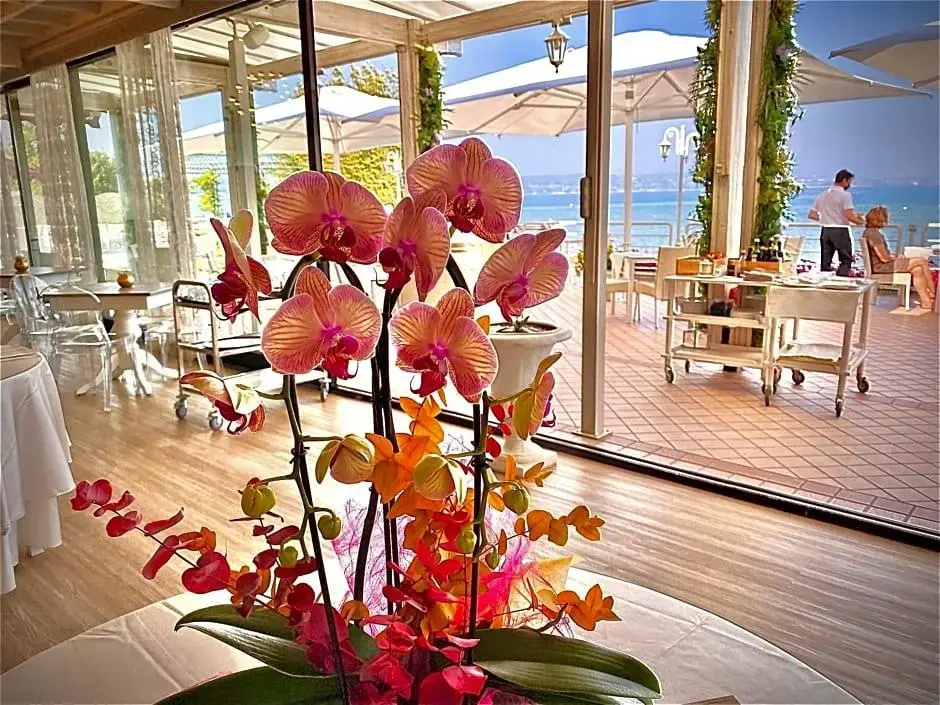 Hotel Aquila D Oro Desenzano - Général